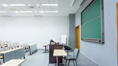 Студенты Плехановки на бизнес-курсе в сотрудничестве с Сбером