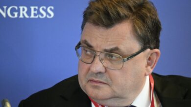 Изображение леса, охраняемого от нарушителей, с тигром на фоне.