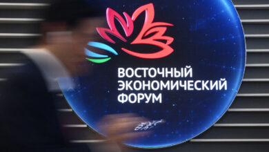Строительство арабской деревни для соколов на Пироговском водохранилище