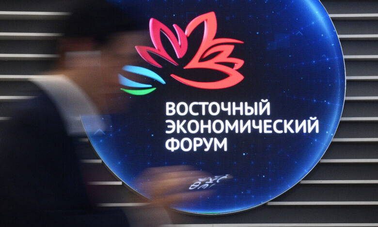 Строительство арабской деревни для соколов на Пироговском водохранилище
