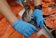 Изображение дорожной карты с изображением карася и символами любви к отечественной рыбе