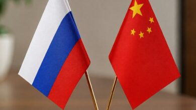 Изображение пекинской утки, символизирующей дружбу между Россией и Китаем.