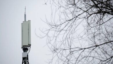 Смартфон с активированным 5G на фоне яблок