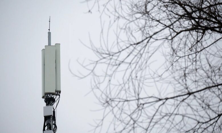 Смартфон с активированным 5G на фоне яблок