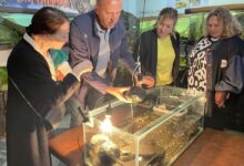 Подводное царство Амура, спасенное от засухи