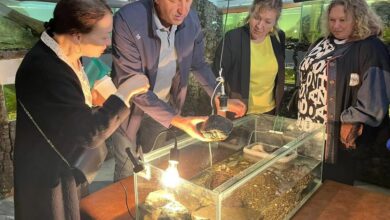 Подводное царство Амура, спасенное от засухи