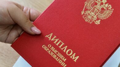Инструкция по поиску образовательного джедая для школьника 3