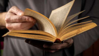 Тор, Леший и Баба-Яга на фоне книжных полок, где викинги смещены в сторону