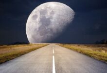 Космонавты выращивают растения среди лунных кратеров
