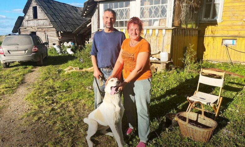 Петербургский боцман на фоне псковских лугов с овцами и сливочным маслом