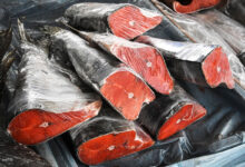 Изображение завода морепродуктов на Сахалине с лососем на переднем плане