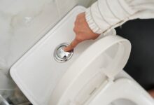 Редкое дерево из Китая, обладающее уникальными свойствами