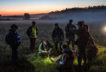 Дети учатся правилам лесного этикета и громкому вокалу в лесу