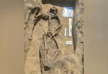 Древний модник с коллекцией звериных зубов, найденный под Вроцлавом