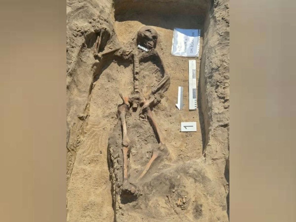 Древний модник с коллекцией звериных зубов, найденный под Вроцлавом