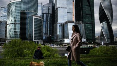 Изображение, иллюстрирующее нюансы нового наследственного права с акцентом на наследование драгоценностей и домашних животных.
