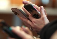 Иллюстрация рябиновых костров, символизирующих тепло и уют в холодное время года.