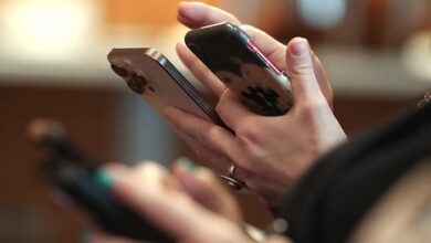 Иллюстрация рябиновых костров, символизирующих тепло и уют в холодное время года.