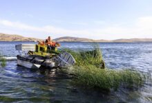 Изображение озера Яктыкуль в Башкирии, очищаемого от водорослей и инвазивных видов.