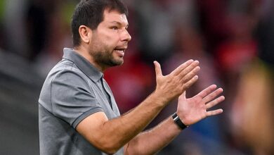Мурад Мусаев с кубанскими быками на корриде