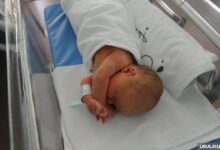Изображение о популярных именах в Челябинске: Самсоны и Мелиссы
