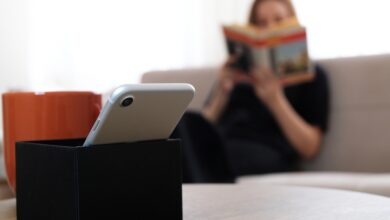 Картинка с изображением книги Толстого на фоне современных технологий и котиков