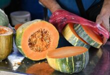 Изображение моркови и тыквы на фоне яркого оранжевого цвета