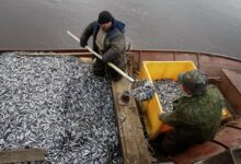 Инфографика о высоких зарплатах в России
