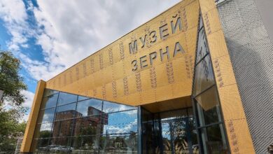 Челябинские злаки и специалисты по их обработке