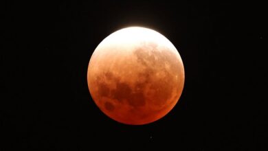 Изображение космического ДТП, в результате которого Земля обзавелась новым спутником.