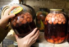 Домашние заготовки из капусты на зиму