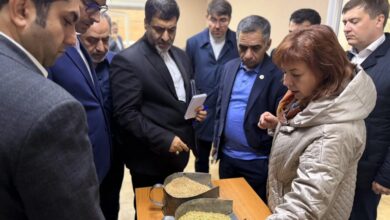 Персики и станки на фоне логистической карты Ульяновска и Ирана