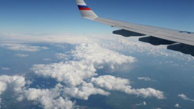 Пассажиры наслаждаются изысканными блюдами во время полета из Москвы во Владивосток