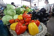 Болгарский перец на фоне природы, символизирующий здоровье и жизненную силу