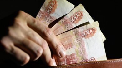 Стипендия за аиста для студенток в России