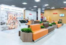 Изображение, иллюстрирующее тайну числа сорок и редкие диалекты в центрах госуслуг.
