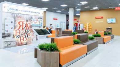 Изображение, иллюстрирующее тайну числа сорок и редкие диалекты в центрах госуслуг.