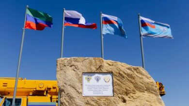 Асфальтовая дорога в Махачкале с коровьими переходами