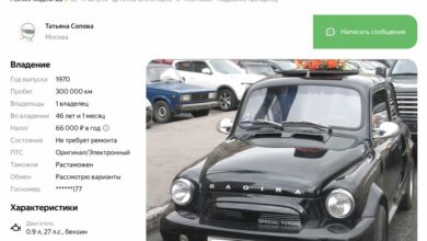 Ушастый зверь за миллион - ЗАЗ-965
