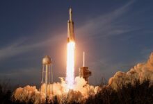 Илон Маск с командой SpaceX на фоне юбилейной ракеты