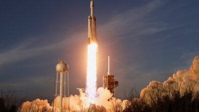 Илон Маск с командой SpaceX на фоне юбилейной ракеты