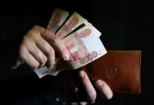 Аисты в полете над Псковом