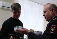 Тюльпаны и березки на фоне европейского пейзажа