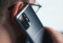 Четыре человека собирают чемоданы на фоне автотрассы и природы