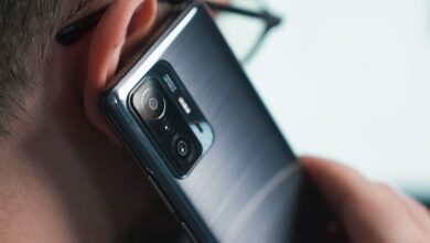 Четыре человека собирают чемоданы на фоне автотрассы и природы