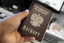 Изображение аиста, символизирующего путешествие и получение паспорта для детей