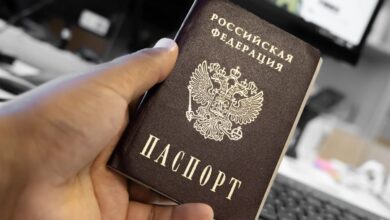 Изображение аиста, символизирующего путешествие и получение паспорта для детей