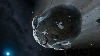 Семь стадий превращения астероида в булыжник