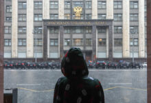 Пекинская утка в полете над побережьем Сочи