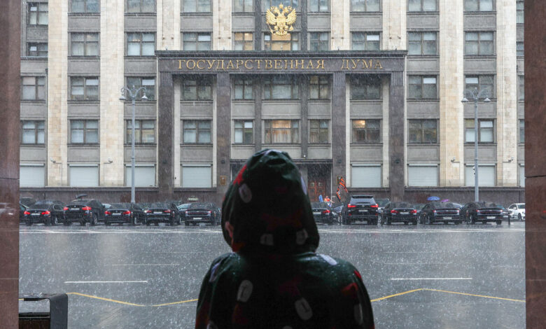 Пекинская утка в полете над побережьем Сочи